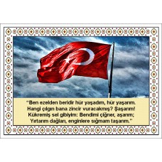 Türk Bayrağı Halı Portresi 50 x 70 cm. No:3
