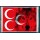 Üç Hilal Bozkurt Duvar Kilimi No: 2